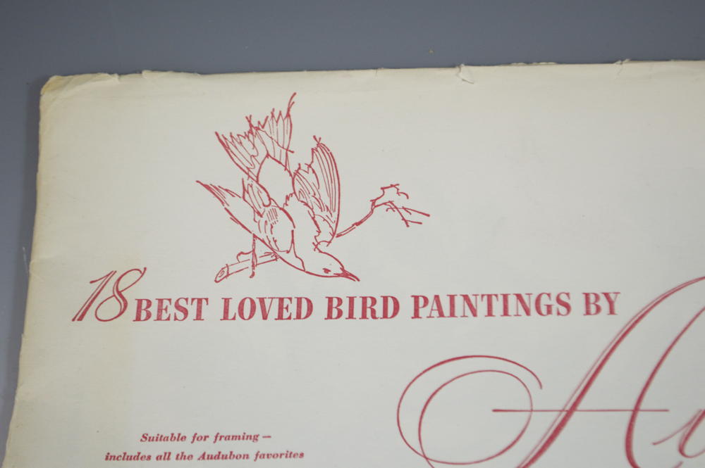 18 Best Loved Prints of Bird Paintings by Audubon