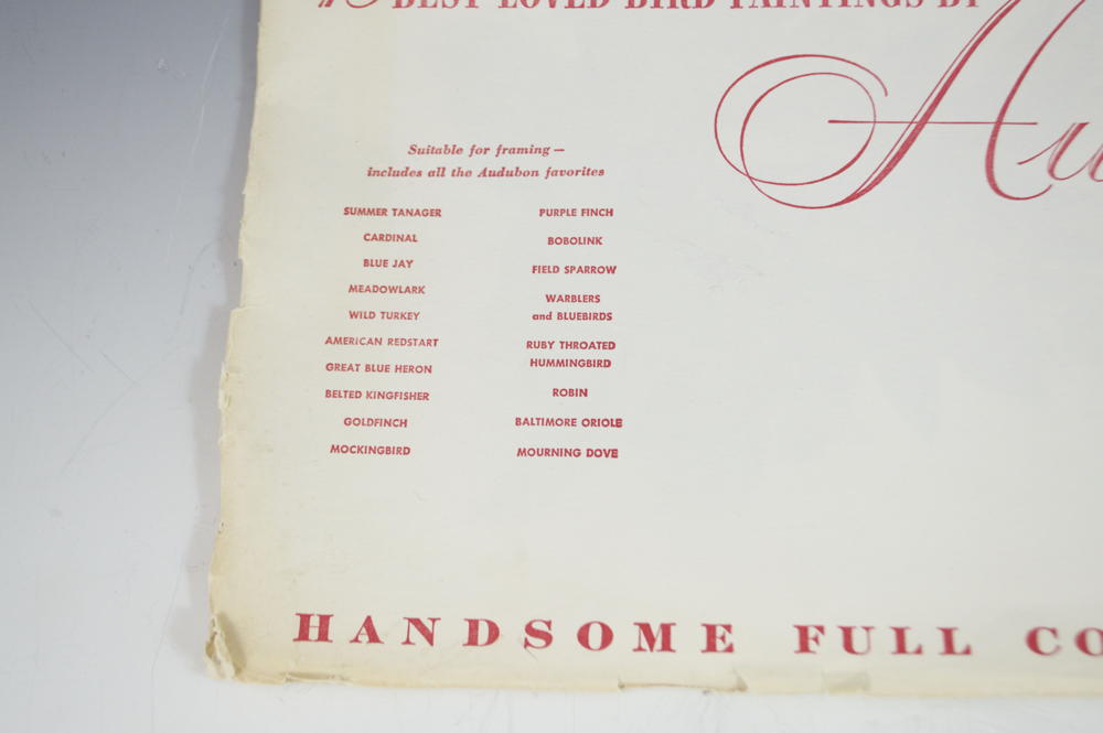 18 Best Loved Prints of Bird Paintings by Audubon