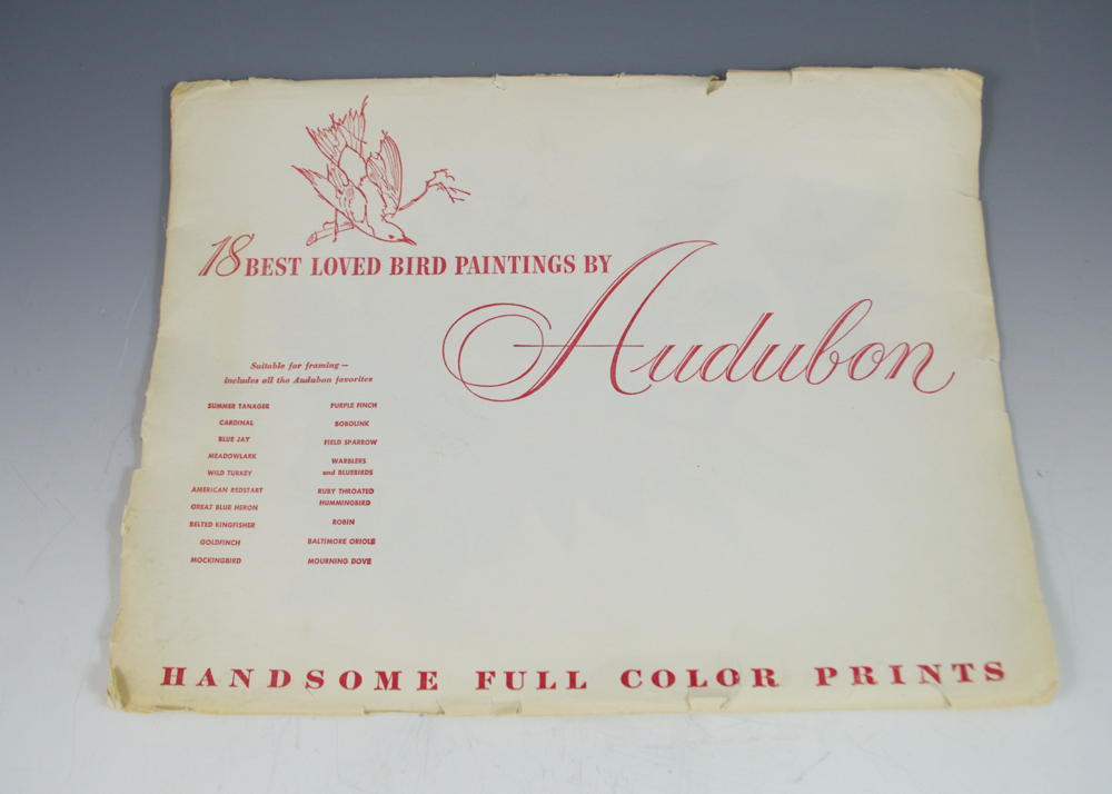 18 Best Loved Prints of Bird Paintings by Audubon