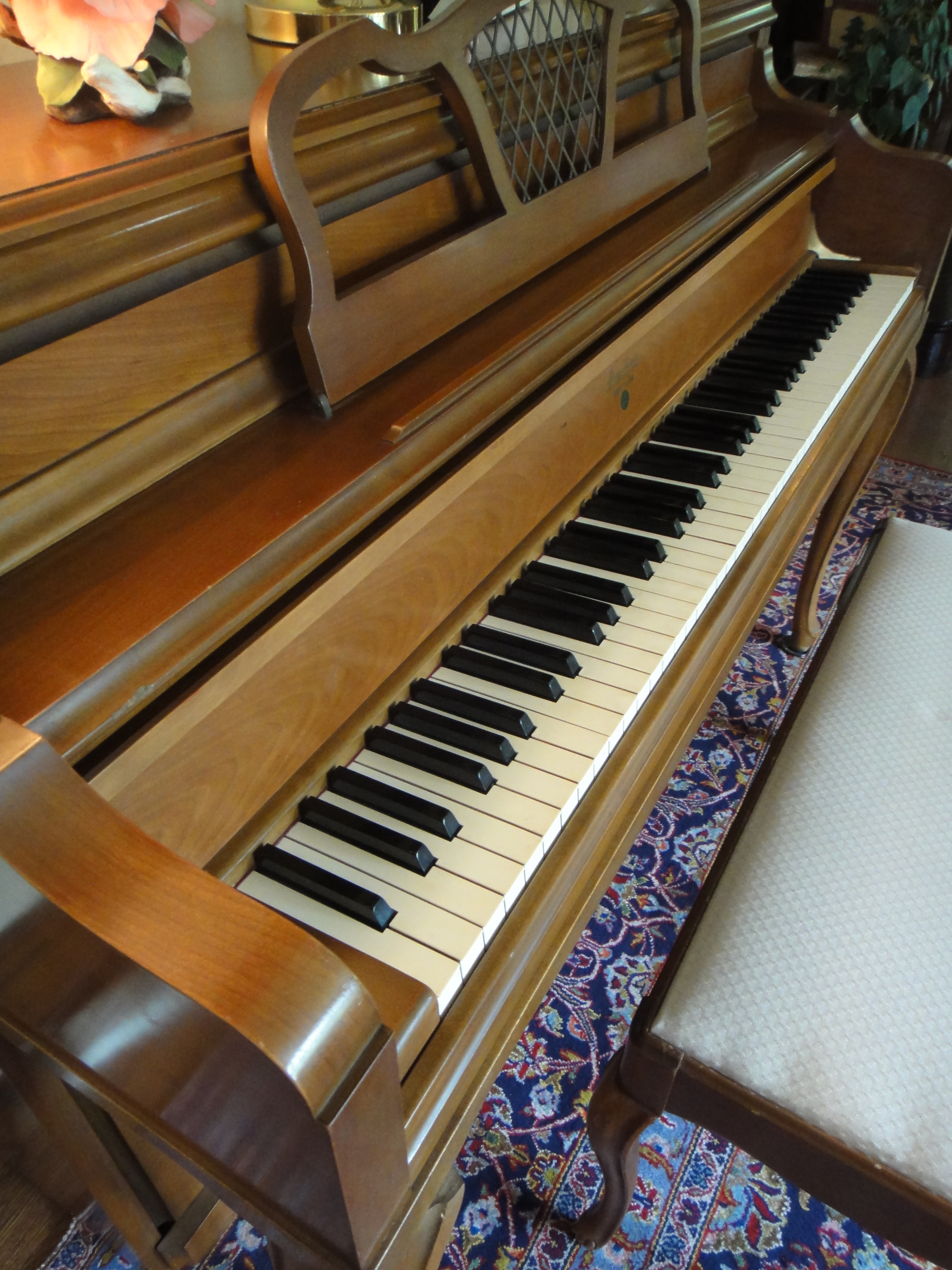 Fischer New York Piano & Bench
