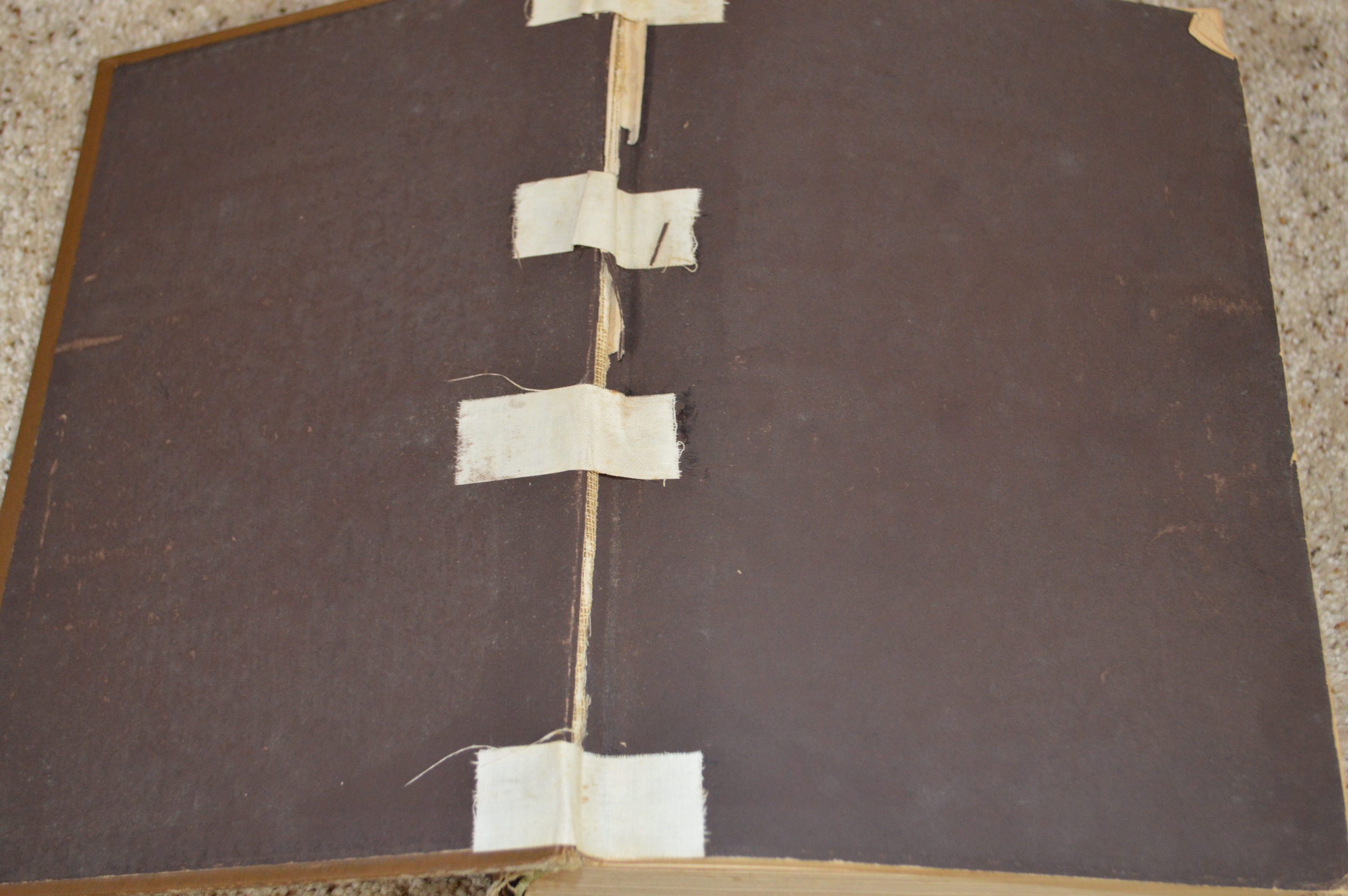 "The Works of Flavius Josephus" and "1001 Gems"