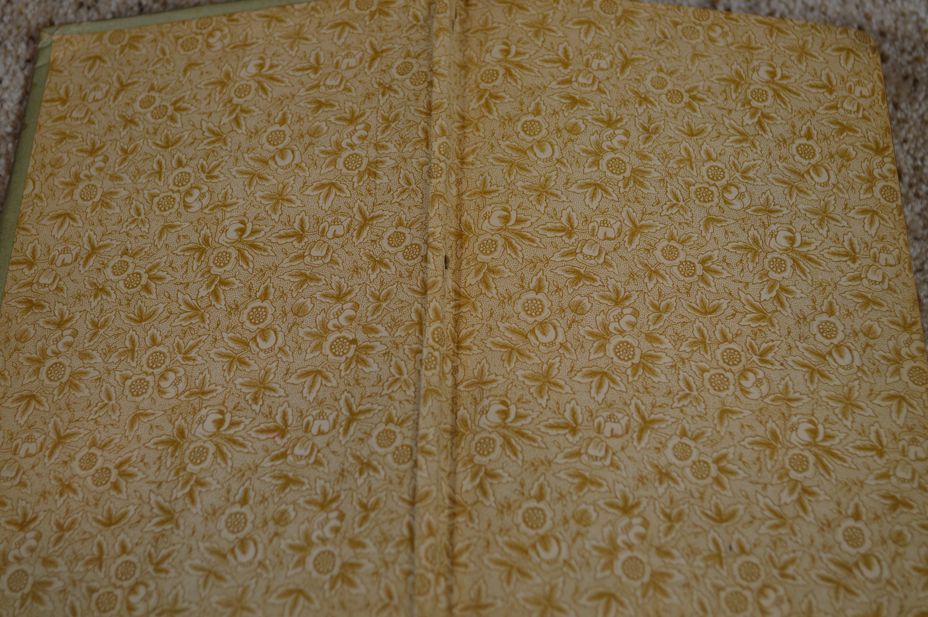 "The Works of Flavius Josephus" and "1001 Gems"