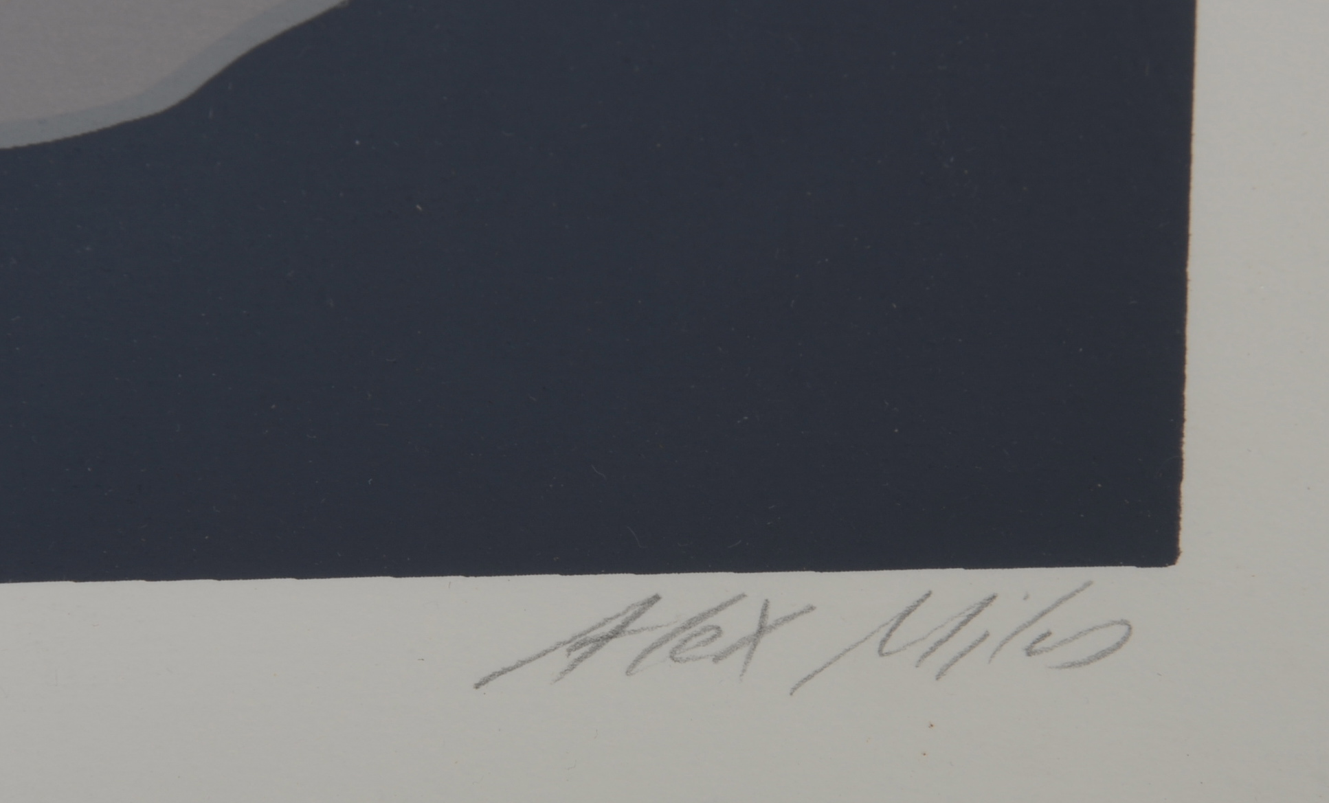 Trio of Framed Pastel Prints