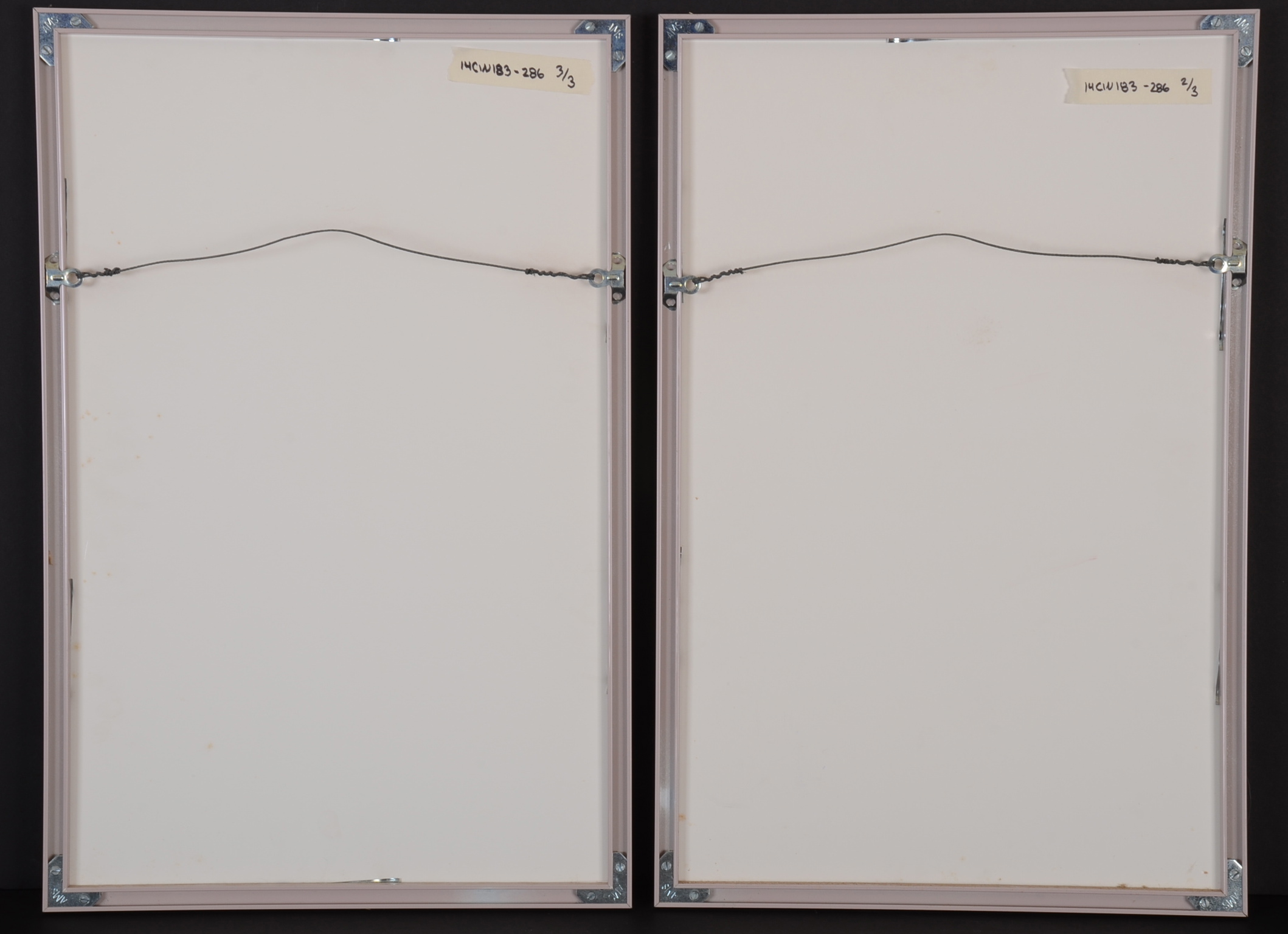 Trio of Framed Pastel Prints