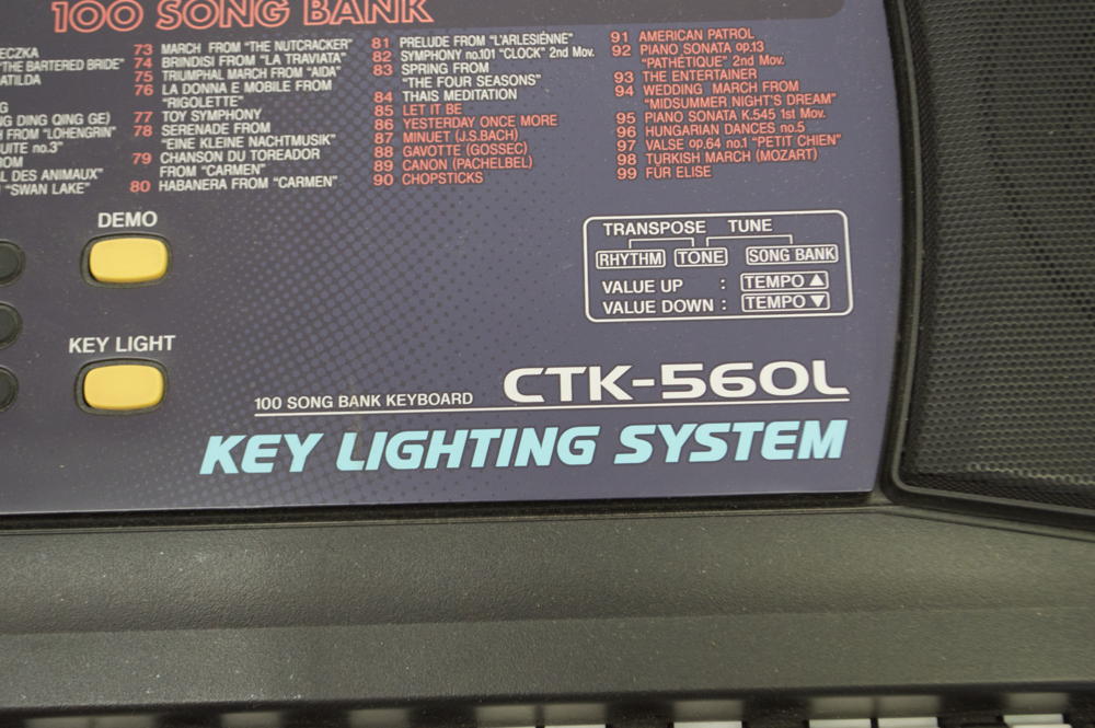 Casio Electric Keyboard with Stand