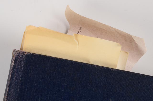 Assortment of Eclectic Books