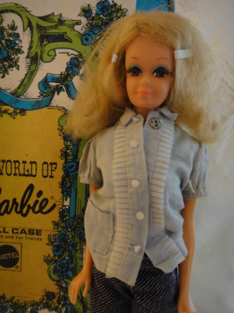 The World of Barbie Case, Doll and Clothes