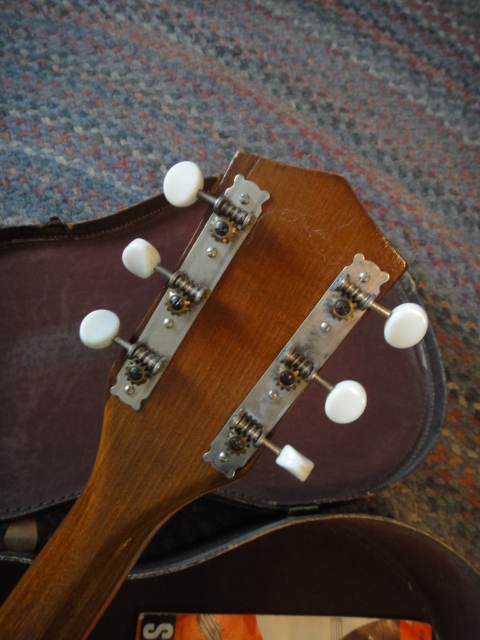 Vintage 1960s Kay Acoustic Guitar