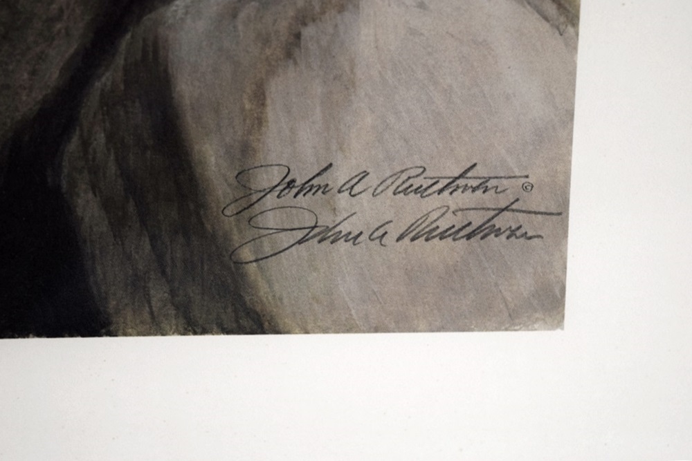 John Ruthven's "Kit Fox", Signed and Numbered