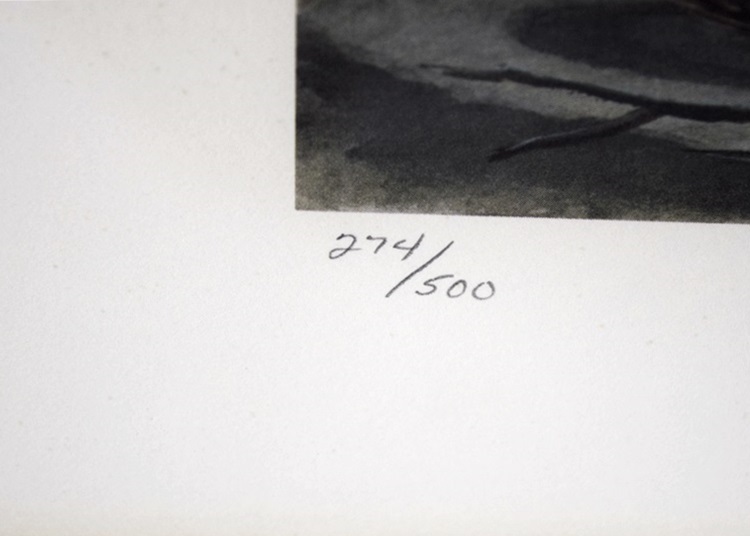 John Ruthven's "Kit Fox", Signed and Numbered