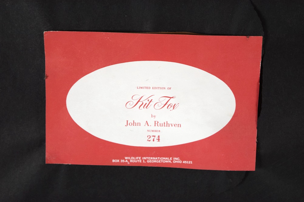 John Ruthven's "Kit Fox", Signed and Numbered
