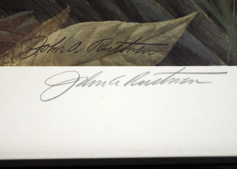 John Ruthven's "Gray Fox Family", Signed and Numbered