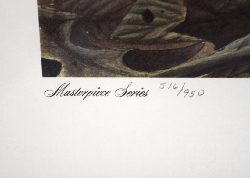 John Ruthven's "Gray Fox Family", Signed and Numbered