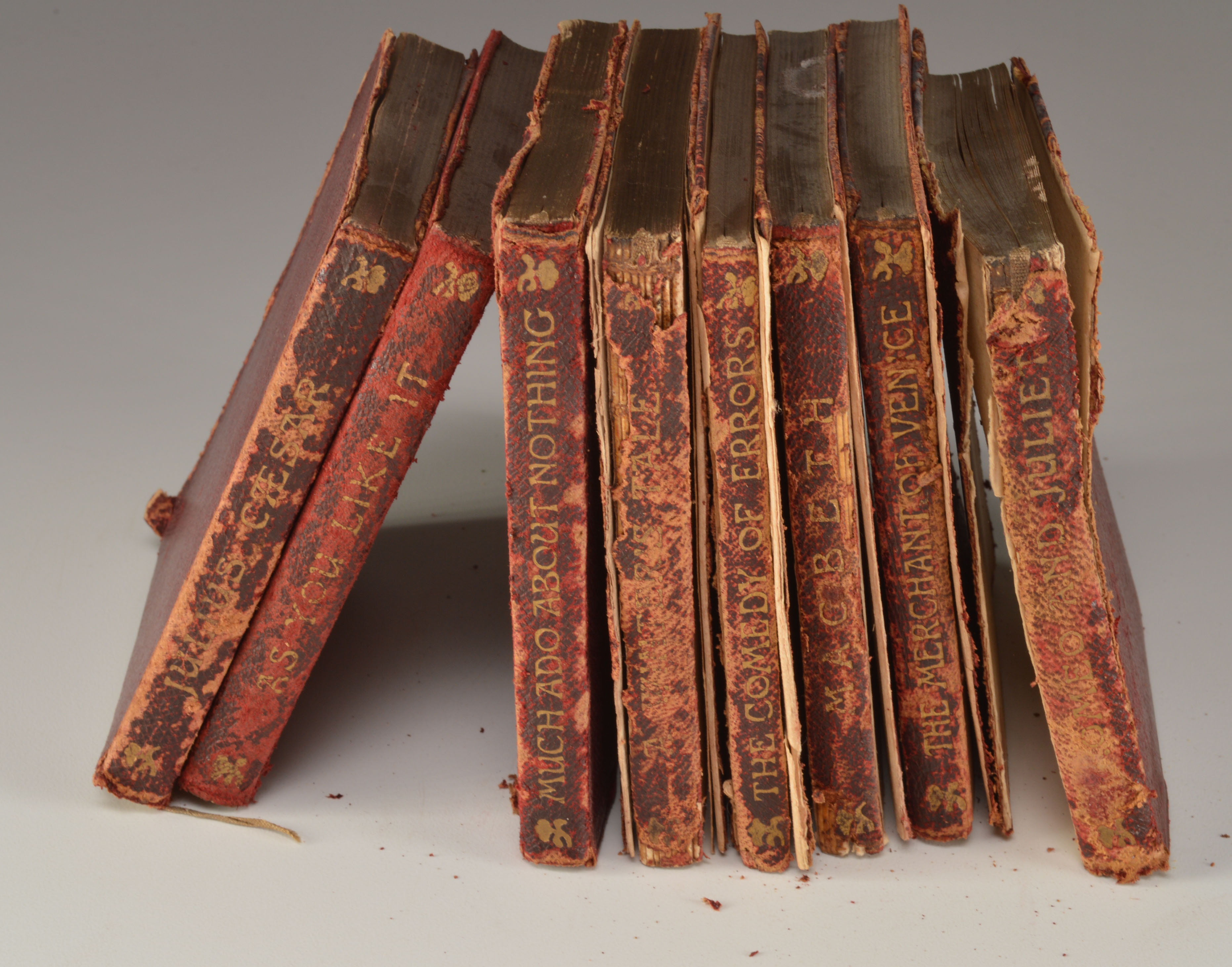 Eight Leather-Bound Shakespeare Books