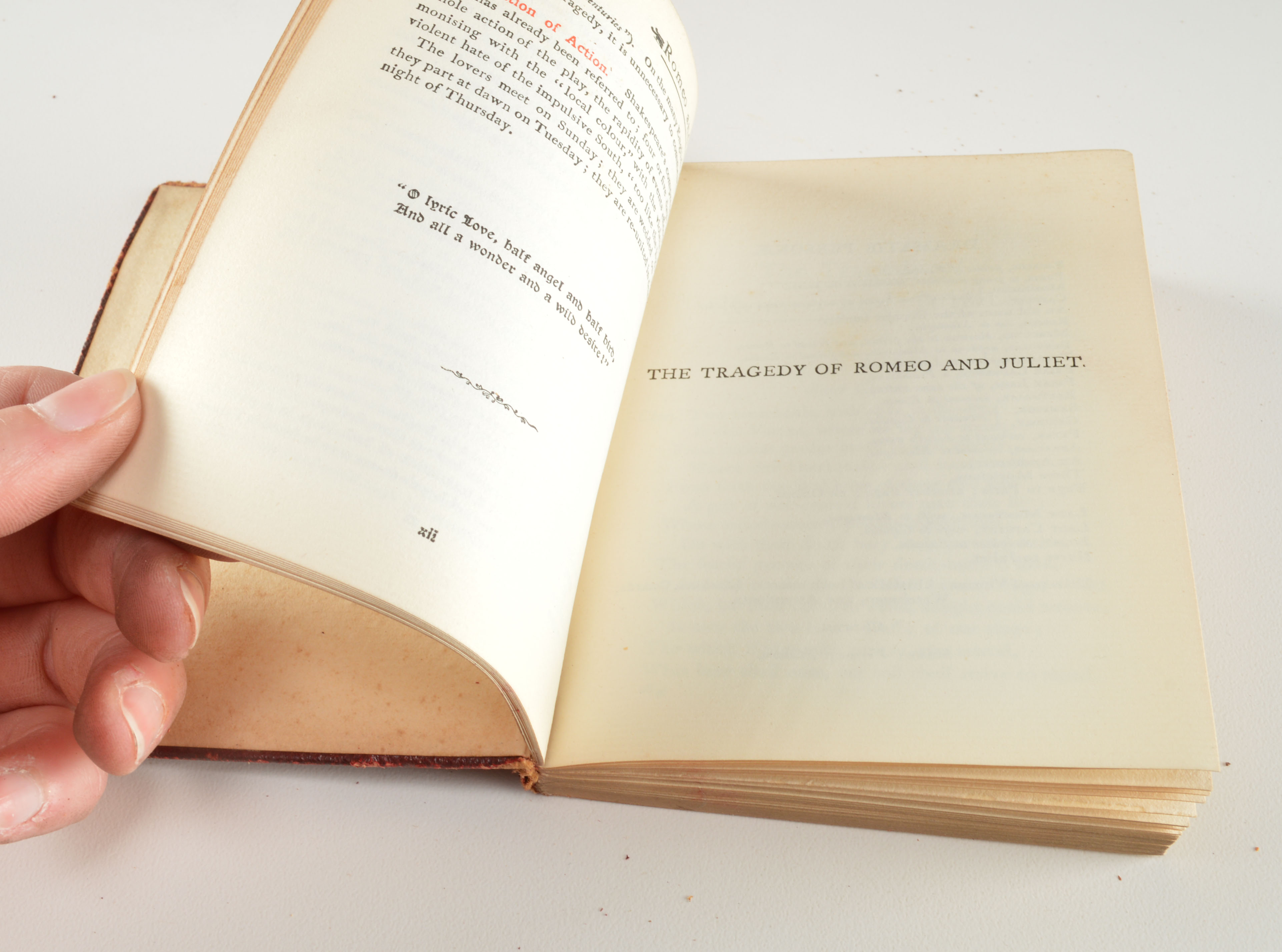 Eight Leather-Bound Shakespeare Books