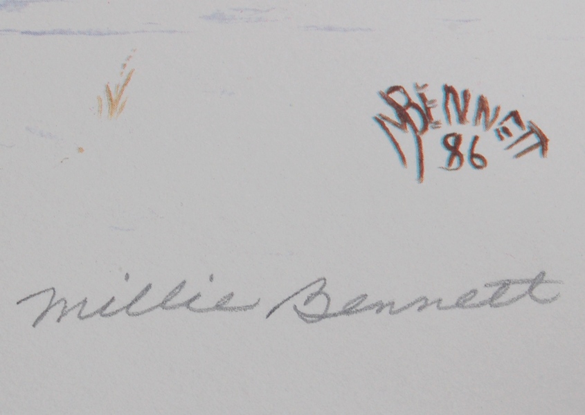 The Smithsonian Institution's 'Castle' Print by Millie Bennett