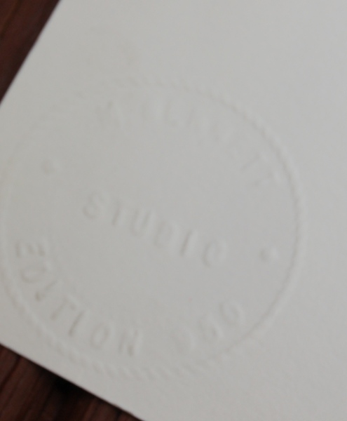 The Smithsonian Institution's 'Castle' Print by Millie Bennett