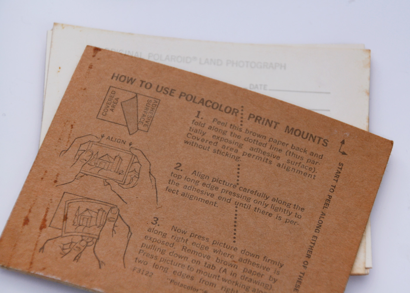 Collection of Vintage Cameras and Accessories