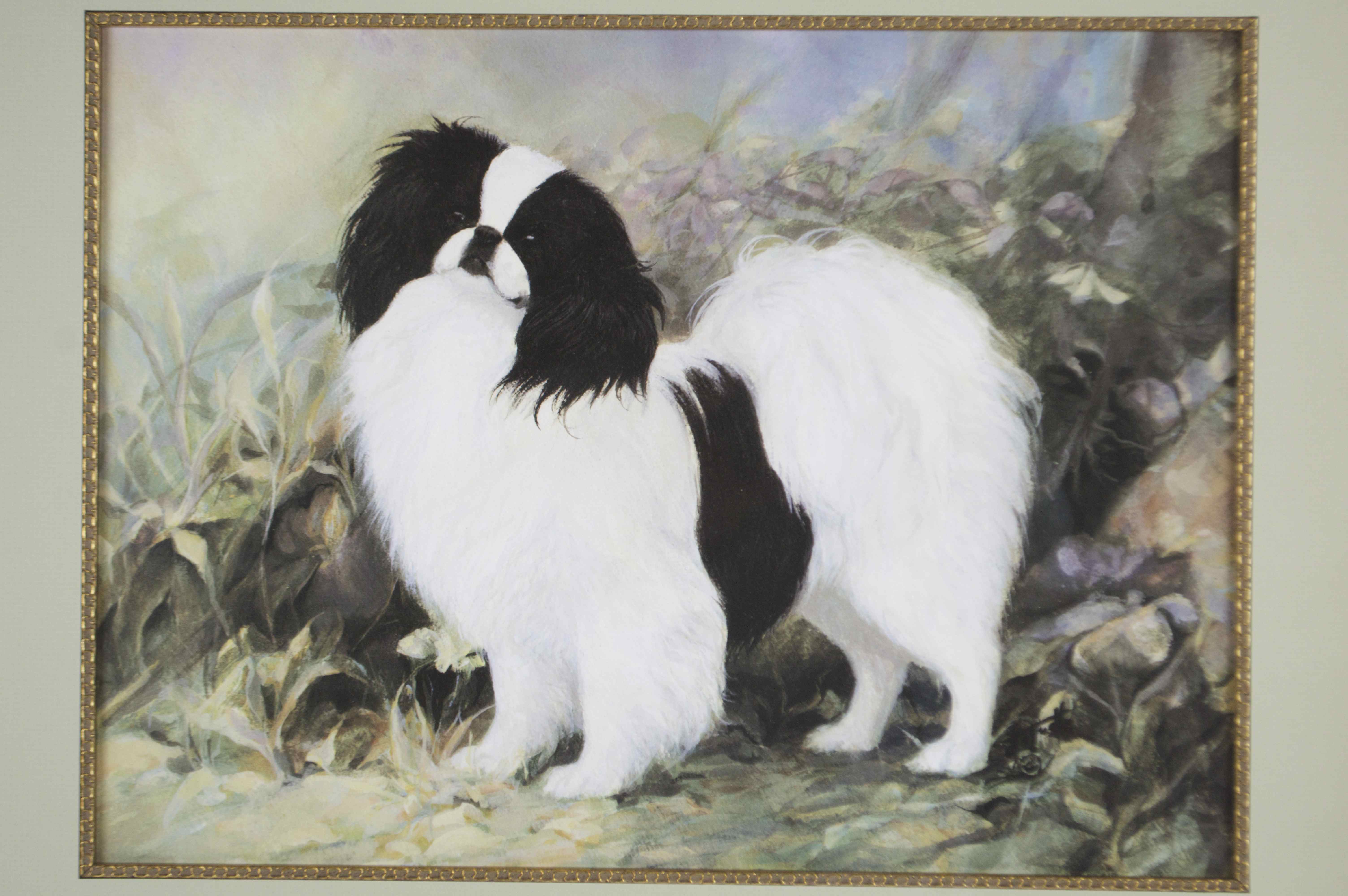 Lithograph " The Joys of a Japanese Chin" By Choquette