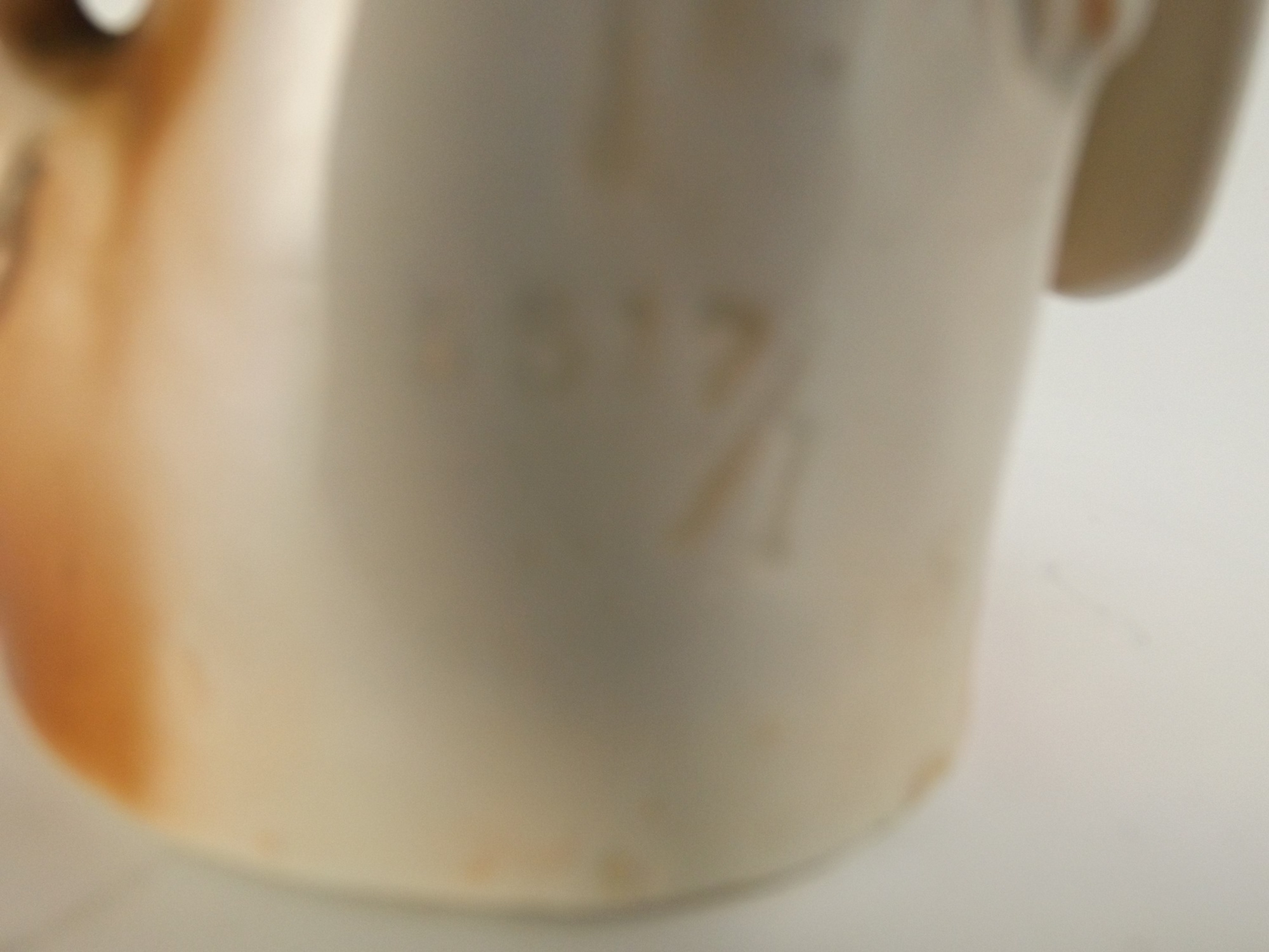 Porcelain Bird Figurines