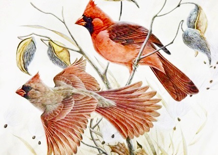 "Cardinals" Signed and Numbered Lithograph by John Ruthven