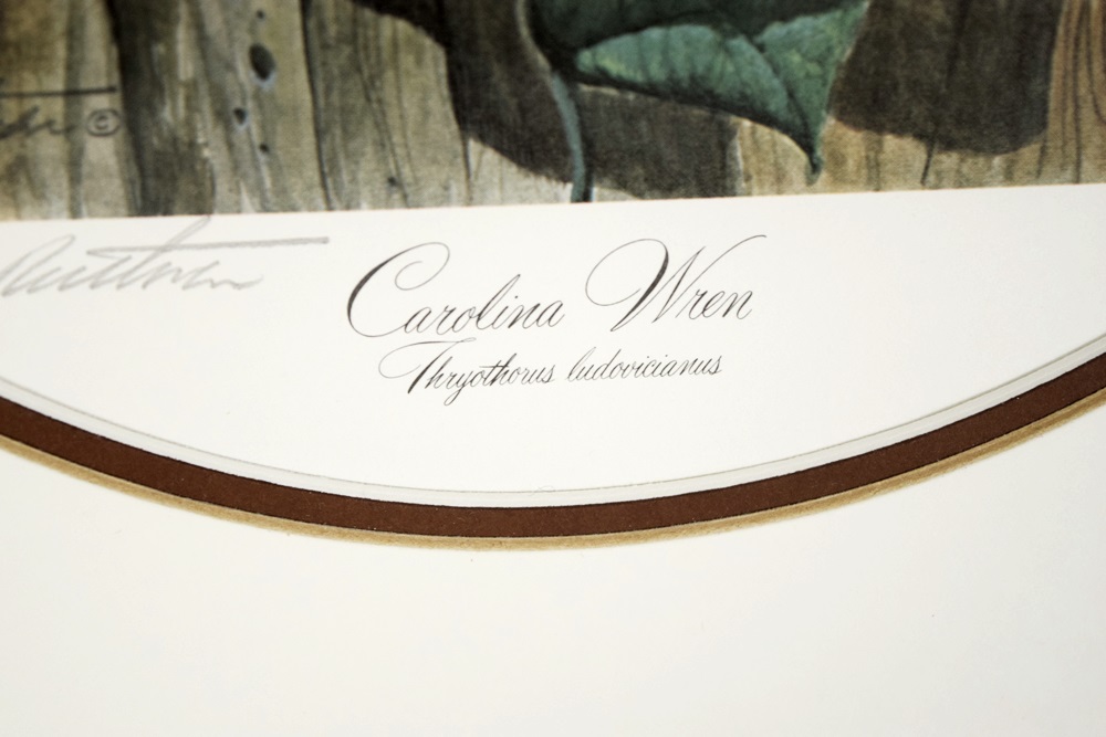 "Carolina Wren" Lithograph by Cincinnati Artist John Ruthven