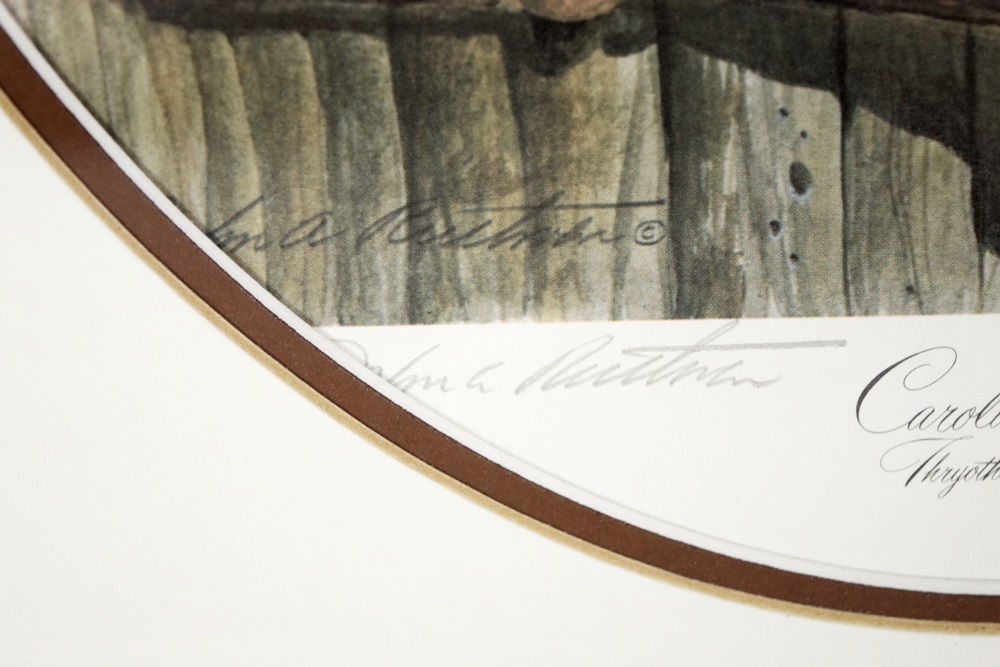 "Carolina Wren" Lithograph by Cincinnati Artist John Ruthven