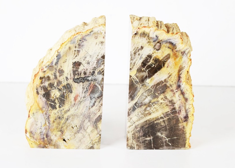 Petrified Wood Bookends