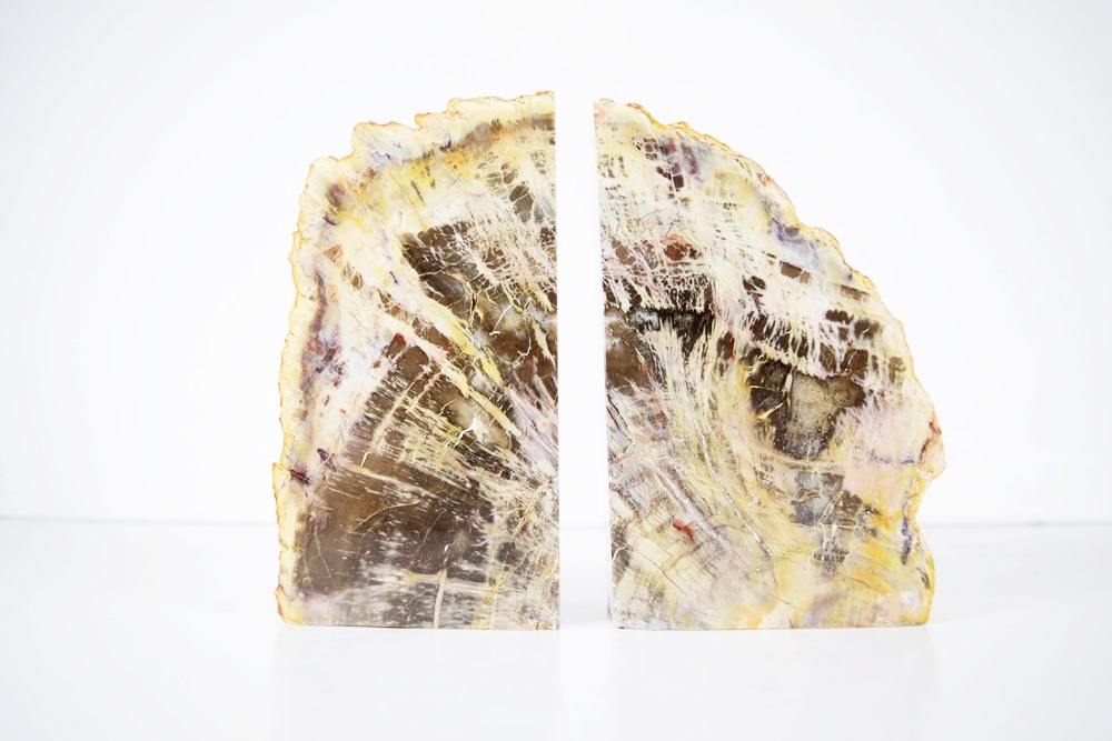 Petrified Wood Bookends