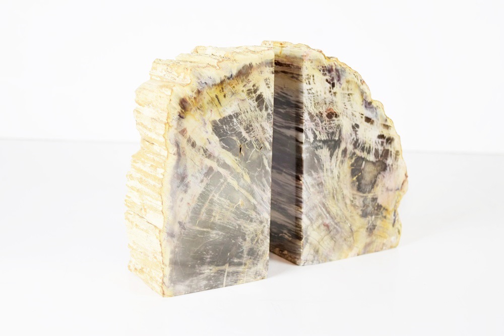 Petrified Wood Bookends