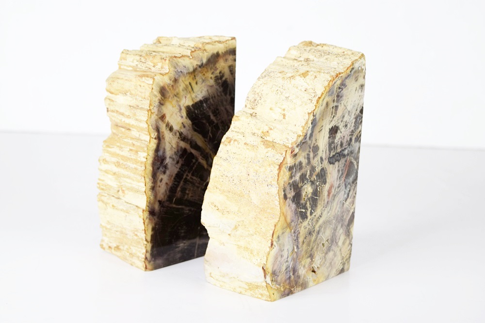 Petrified Wood Bookends
