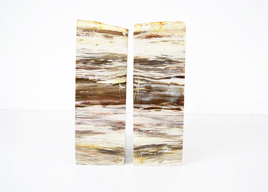Petrified Wood Bookends
