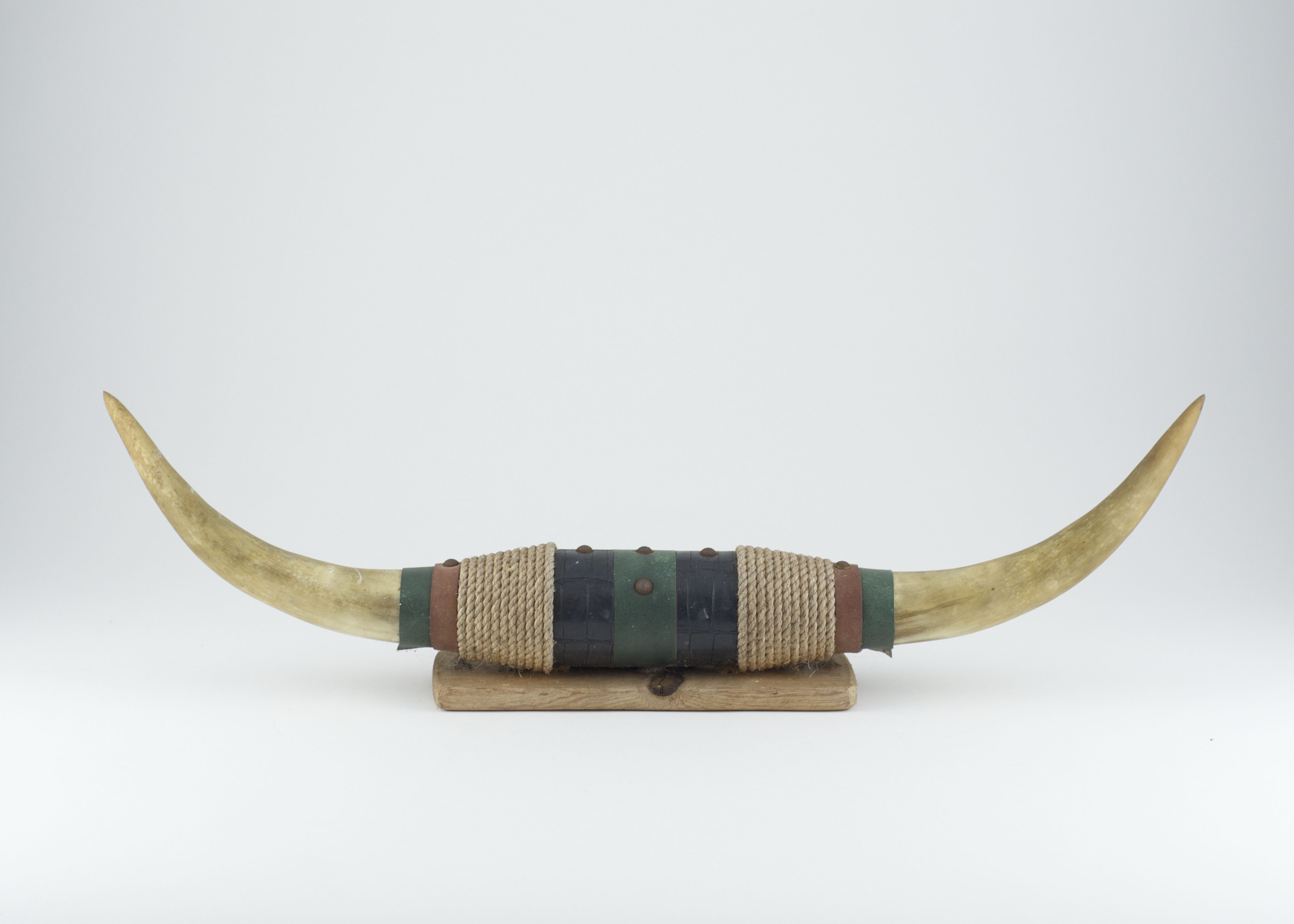 Decorative Bull Horn Mount