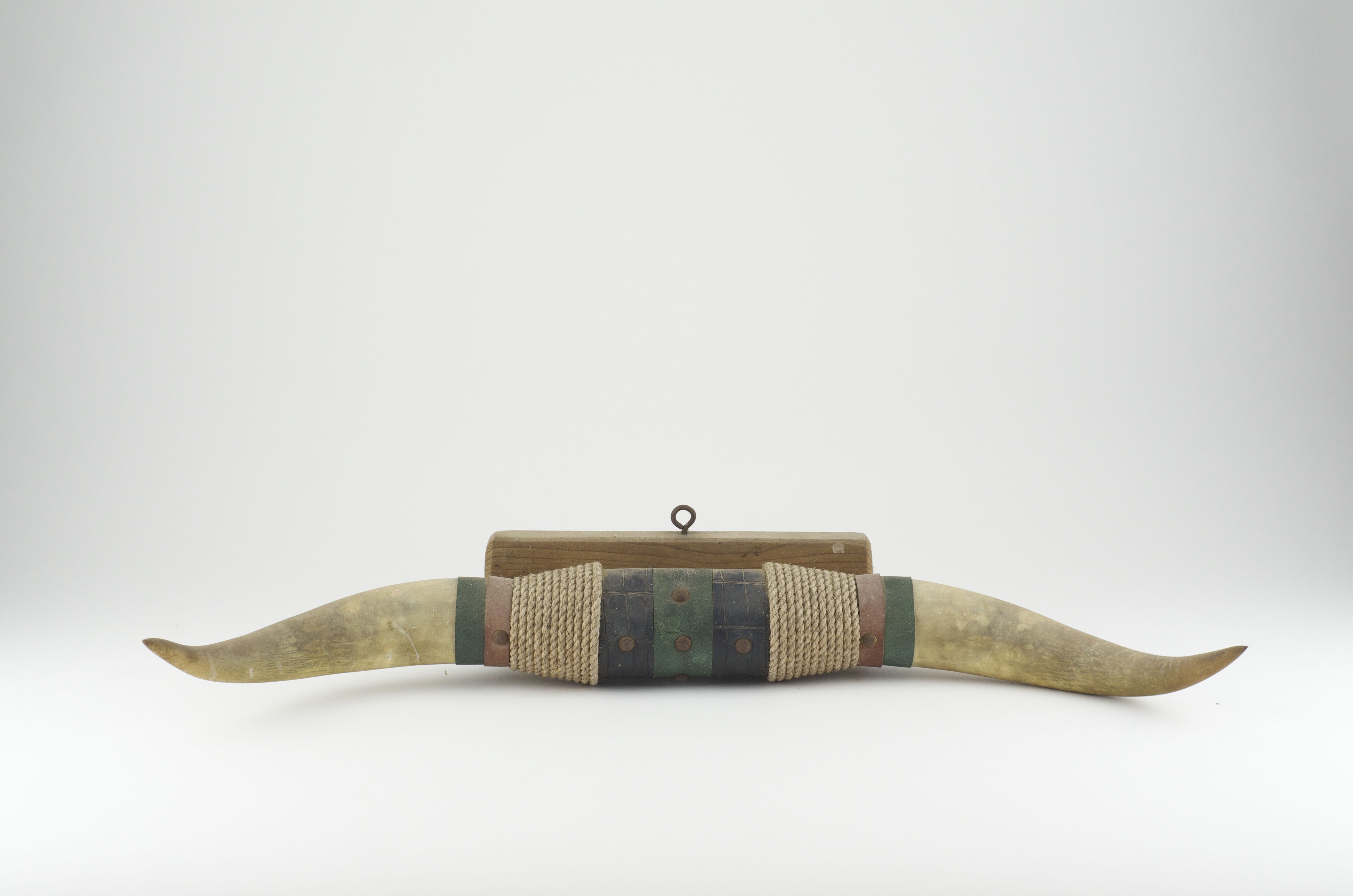 Decorative Bull Horn Mount
