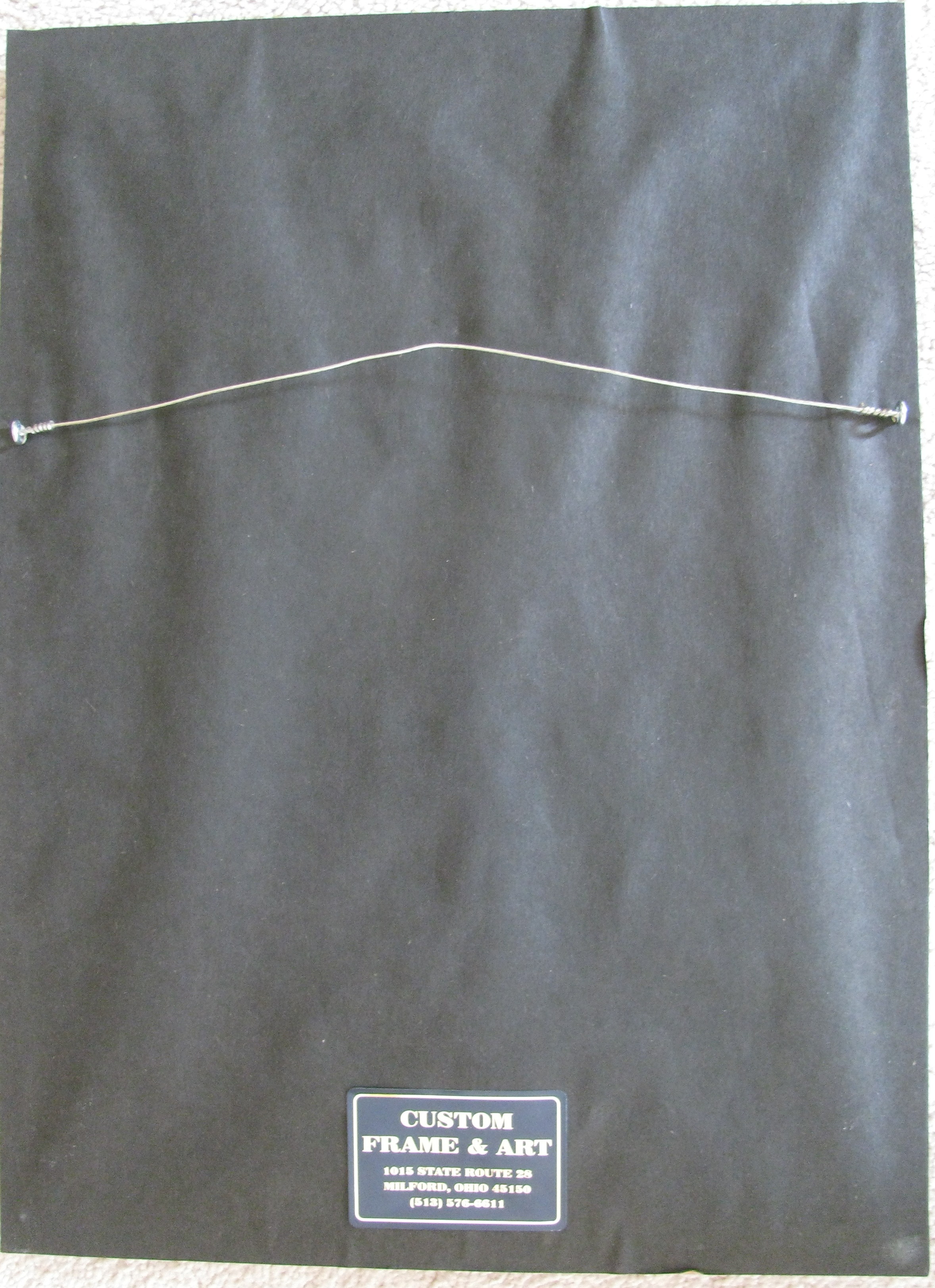 Framed Bald Eagle Print by John E. Bradley