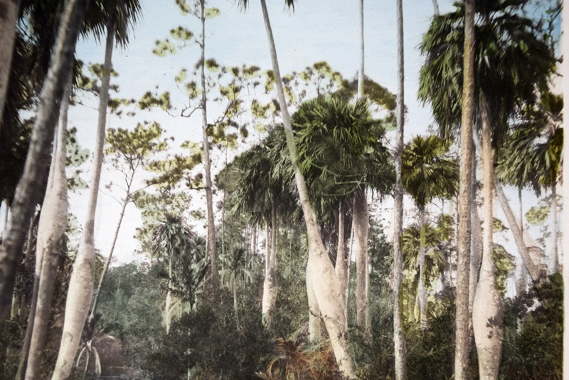 Two Vintage Hand-Colored and Painted Photos