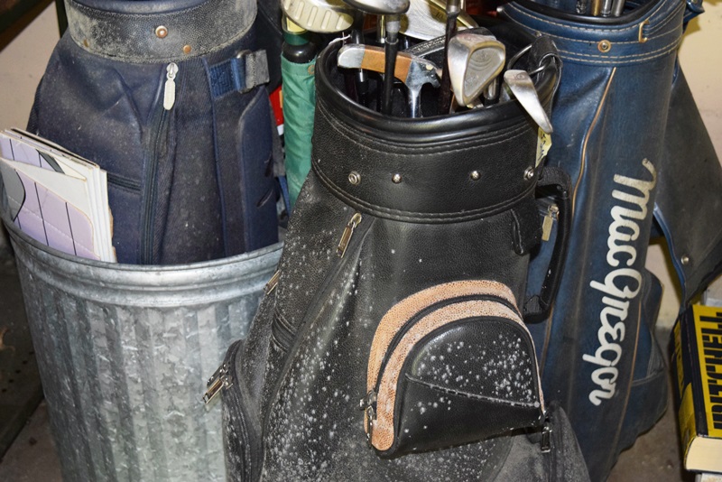 A Generous Assortment of Golf Clubs