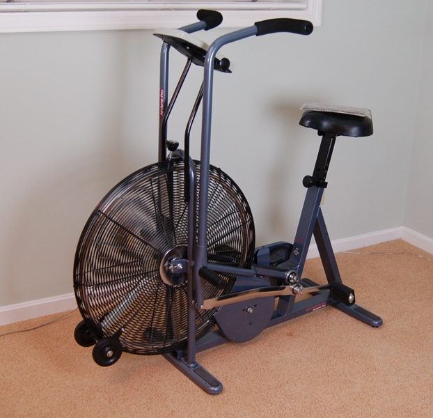 Schwinn Airdyne Pro Exercise Bike