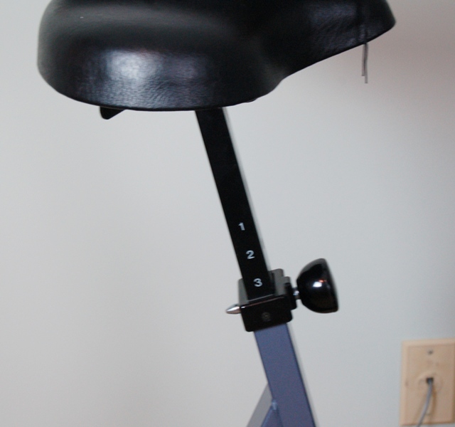 Schwinn Airdyne Pro Exercise Bike