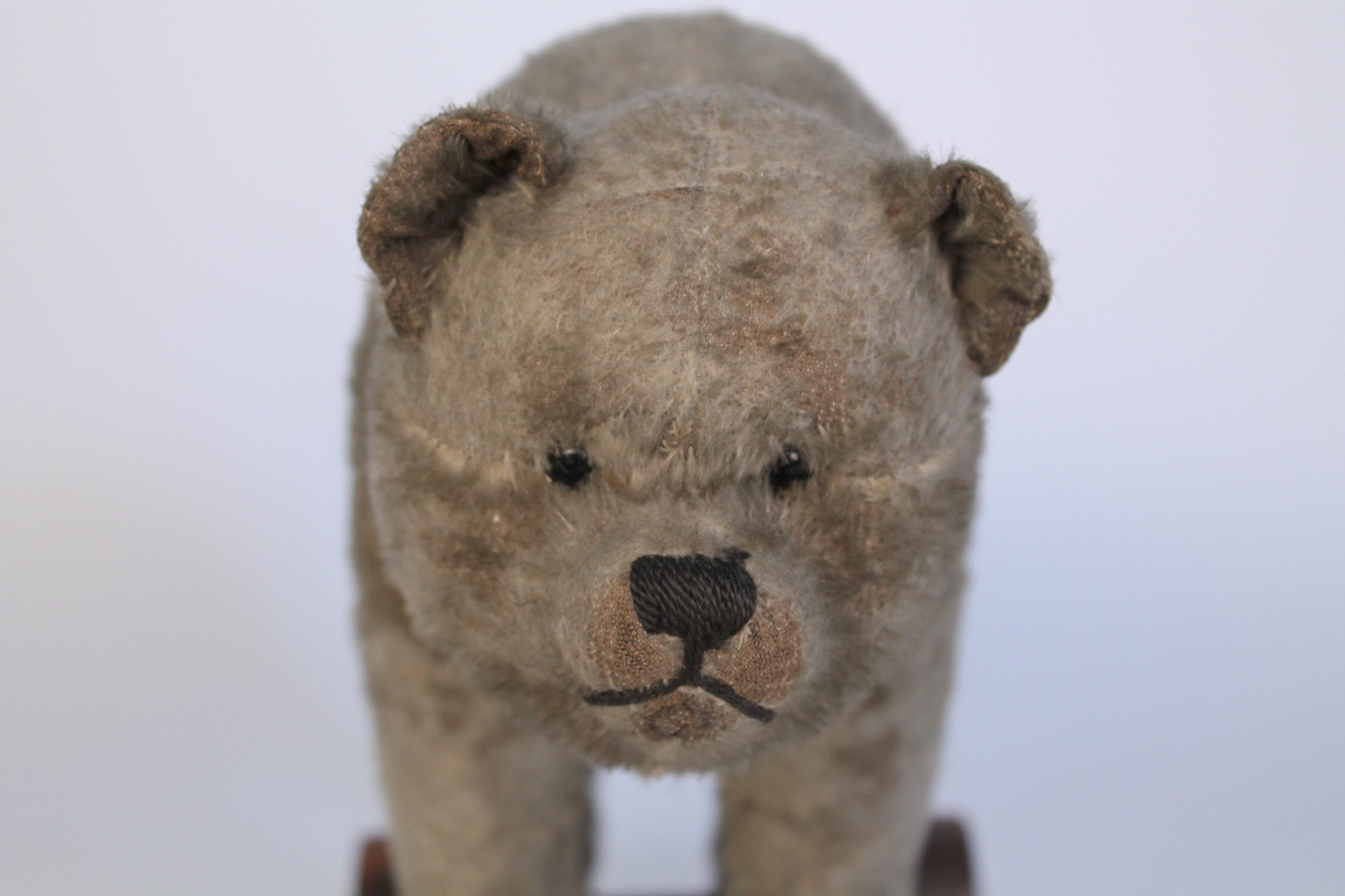 Antique Steiff Bear on Wheels