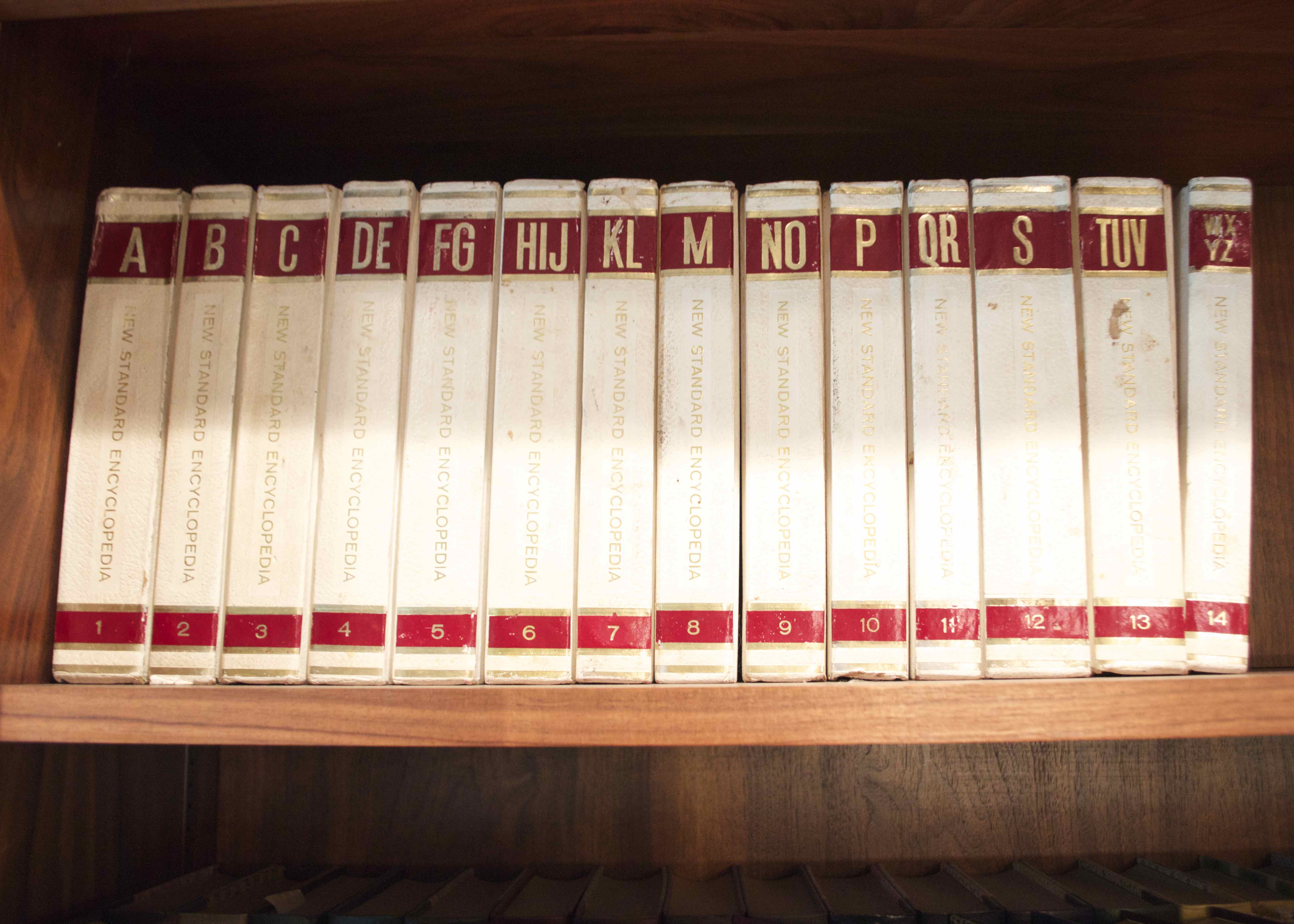 New Standard Encyclopedia Series