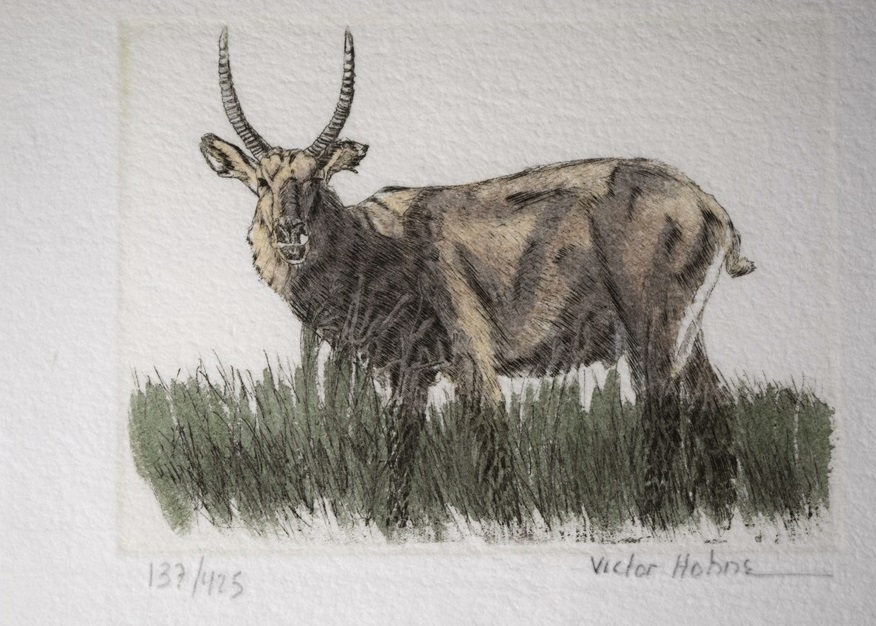 Signed and Numbered Hand-Colored Engravings by Victor Hohne