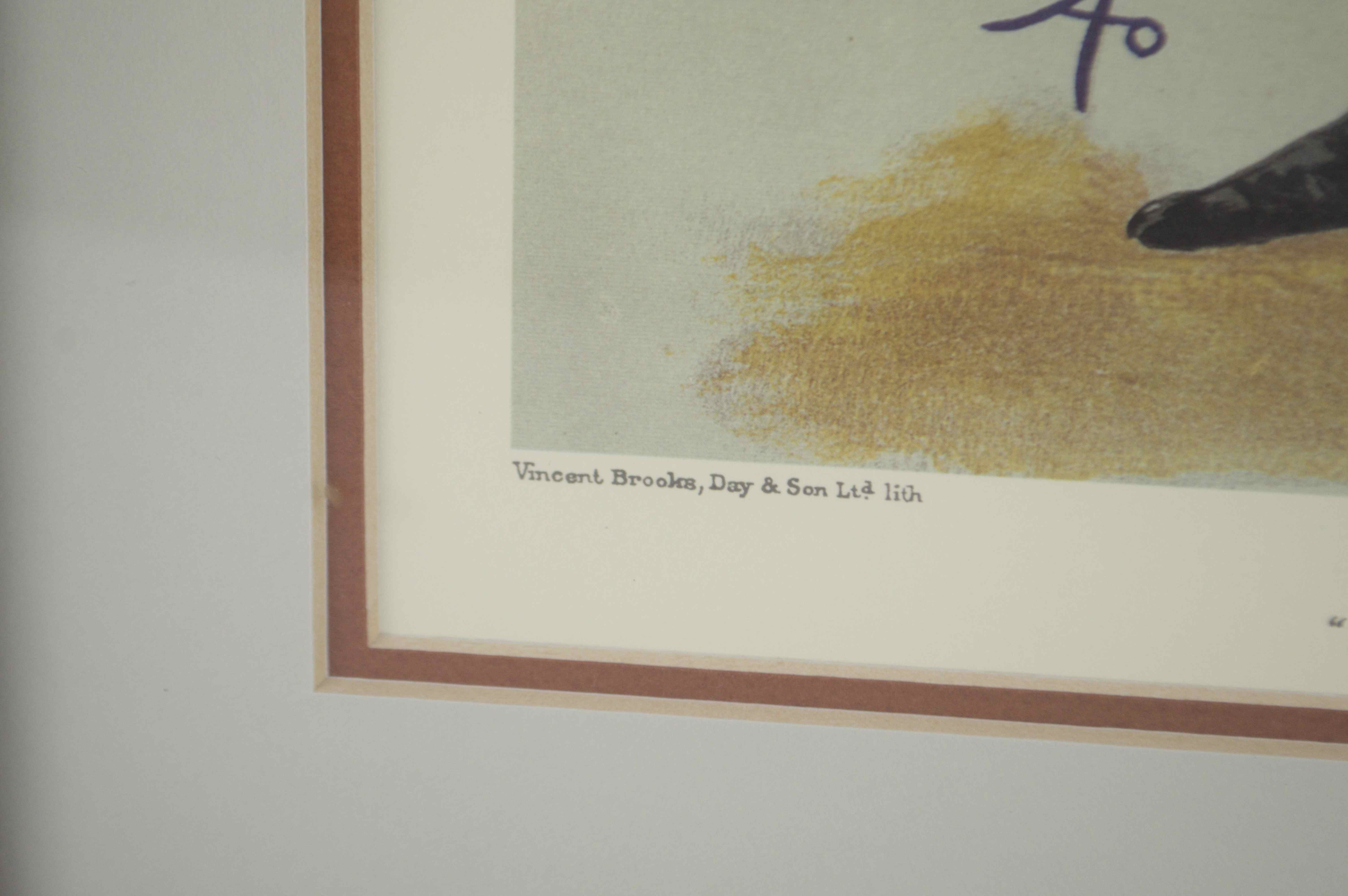 Set of Four Framed Vanity Fair Jockey Prints