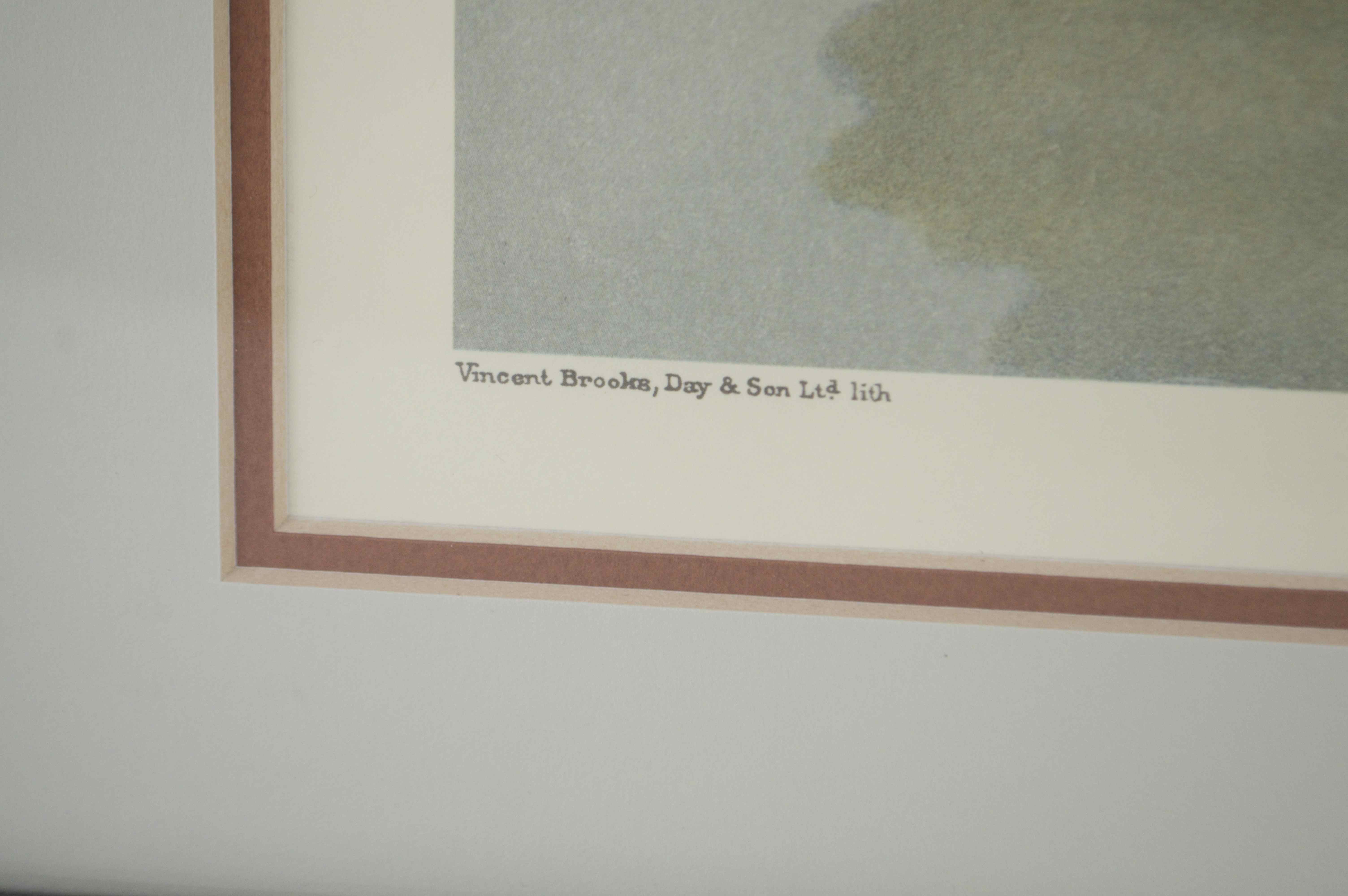 Set of Four Framed Vanity Fair Jockey Prints