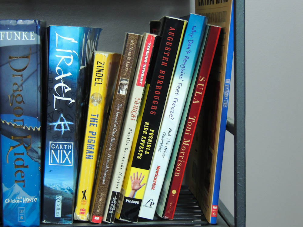 Classic Books & Novels Shakespeare, Steinbach, Michener, Dickens