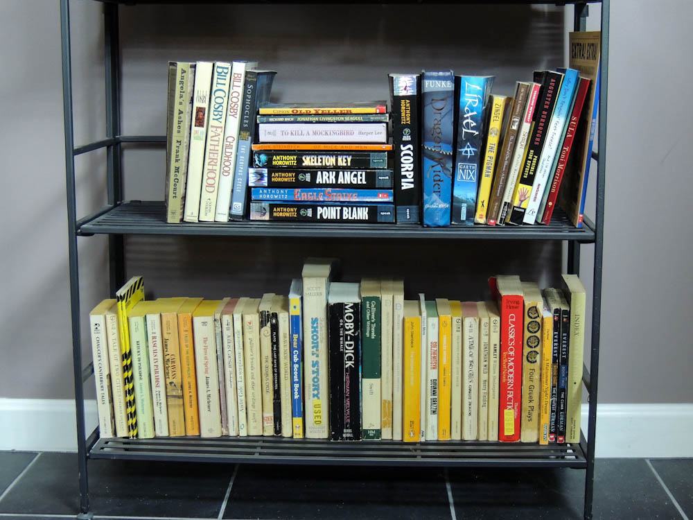 Classic Books & Novels Shakespeare, Steinbach, Michener, Dickens