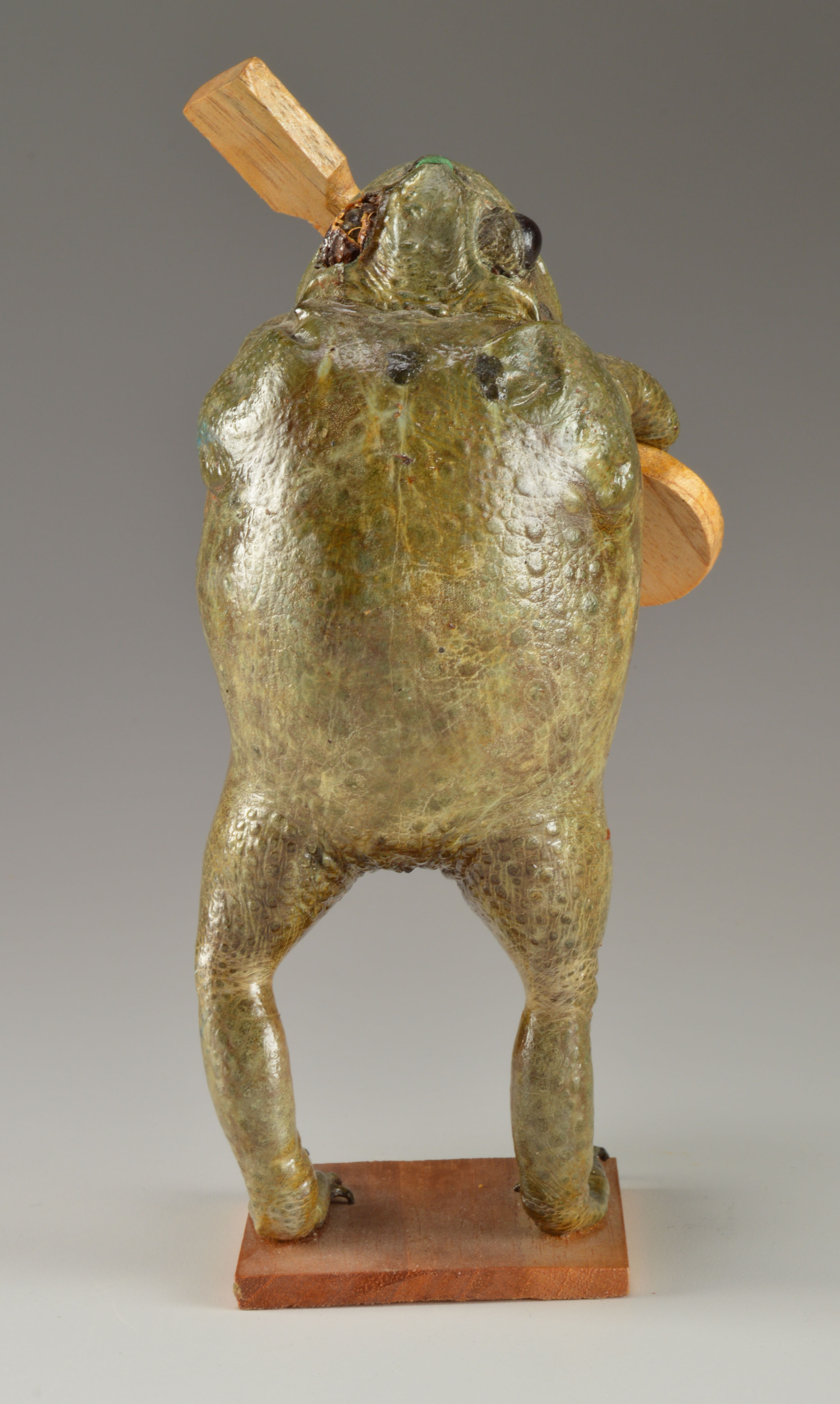 Taxidermy Frog with Wooden Guitar