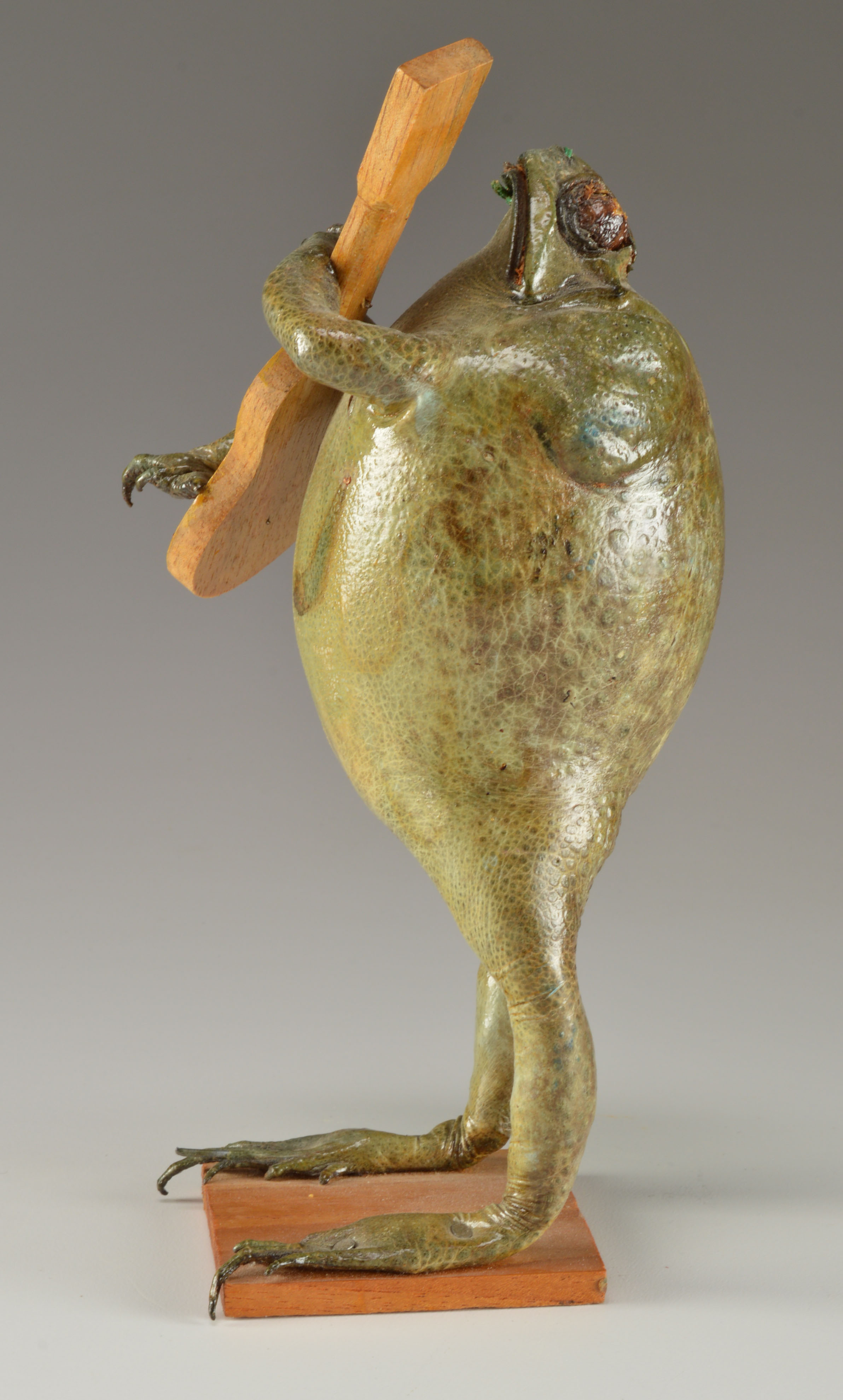 Taxidermy Frog with Wooden Guitar