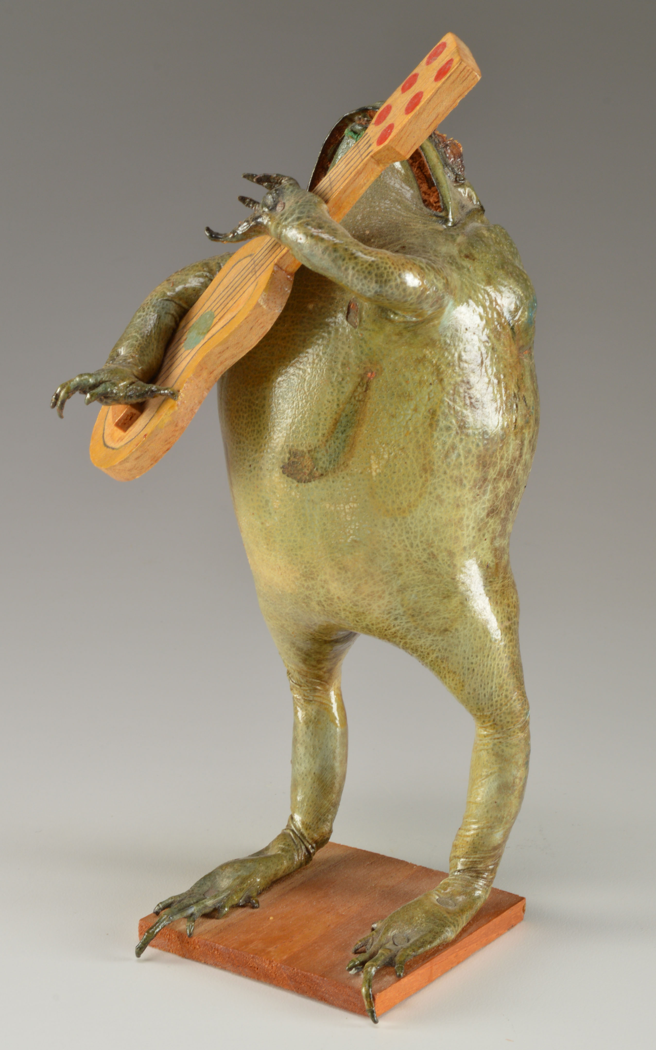 Taxidermy Frog with Wooden Guitar