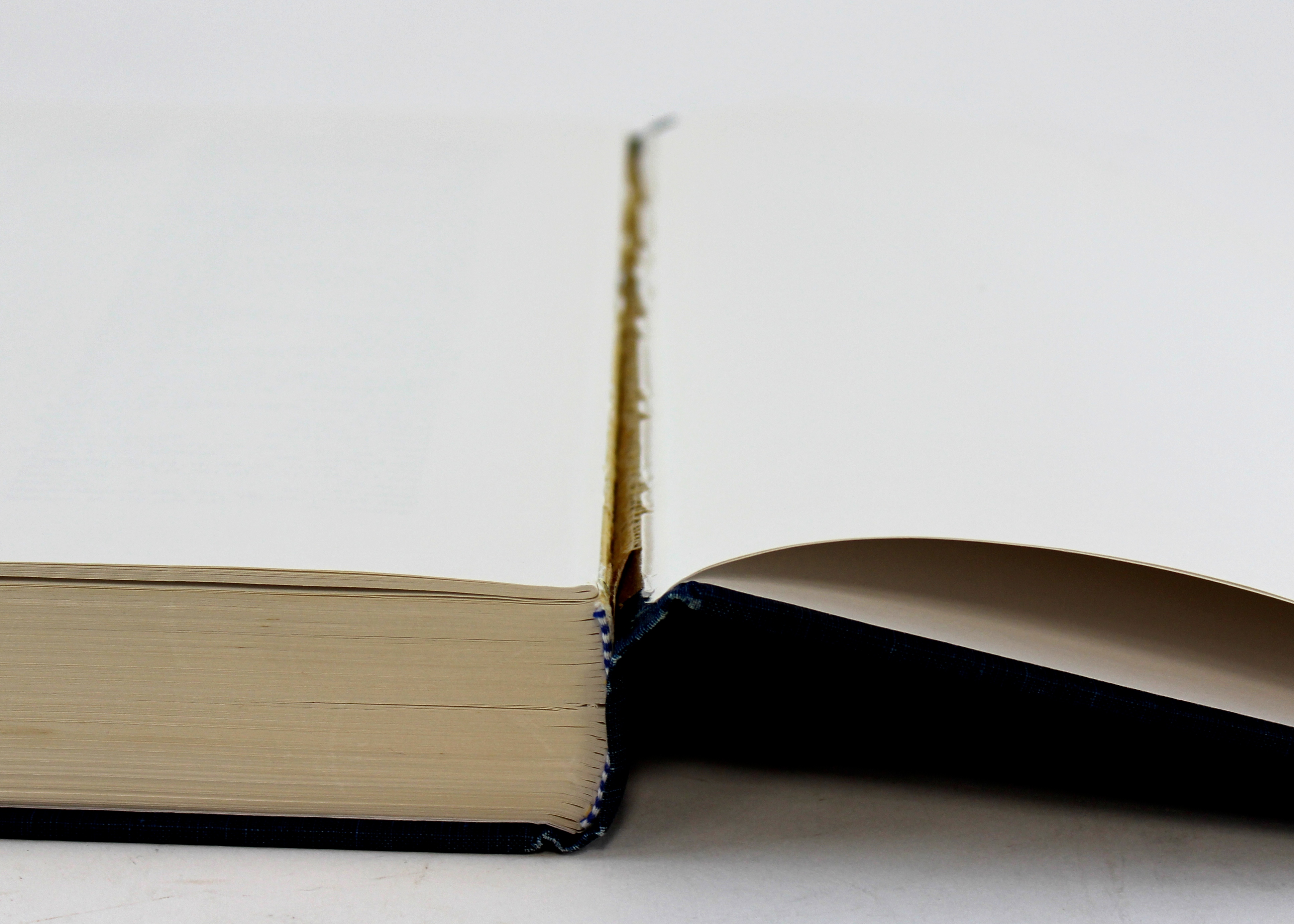 Vintage Virginia Pioneer Books